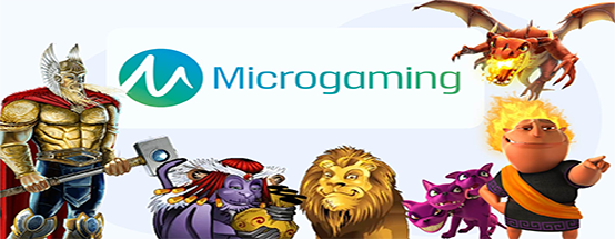 MICRO GAMING PLUS